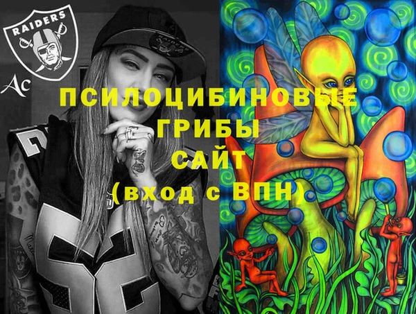 2c-b Заводоуковск