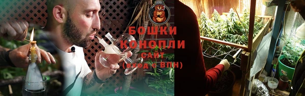 2c-b Заводоуковск