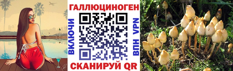 Галлюциногенные грибы мухоморы  Купить  Яблоновский